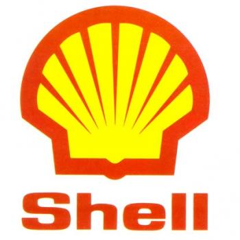 Czy Shell to dobra nazwa dla firmy?